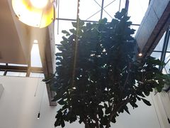 -大树餐厅(红旗街万达店)