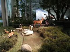 -中国湿地博物馆