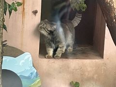 -青藏高原野生动物园