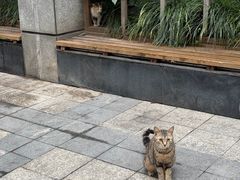 -陈记甜品窝(中山北路店)