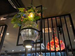 -红顶老汉烧鸡公羊蝎子火锅(学士街店)