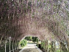 -同里国家湿地公园