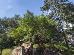 -广州市白云山风景名胜区