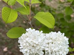-白塘生态植物园