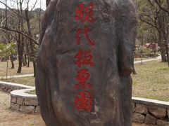 -辛玛王国游乐园