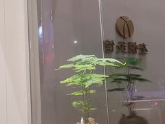 -左悦·艾灸调理·推拿按摩·精油SPA(卓悦汇店)
