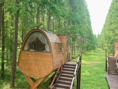 -黄海国家森林公园