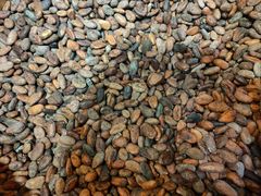 -歌斐颂巧克力小镇