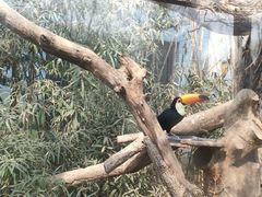 -济南野生动物世界