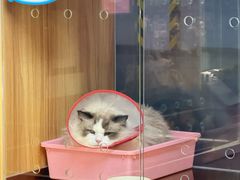 -FAELING PETS美天灵宠物(富力广场店)