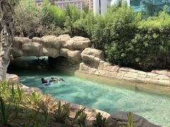 -亚特兰蒂斯水世界冒险乐园