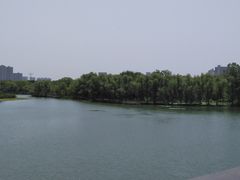 -昆山城市生态森林公园