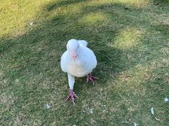 -东台西溪天仙缘景区