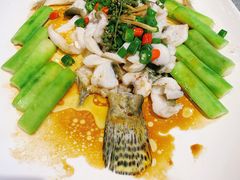 鲜花椒蒸桂花鲈-猪肉婆私房菜(容桂总店)