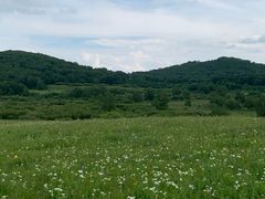 -塞罕坝国家级自然保护区