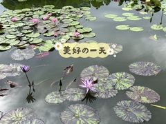 -国家植物园南园