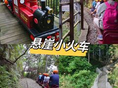 -龙岩森林水乡景区