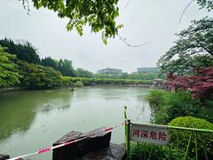 -嘉定紫藤园