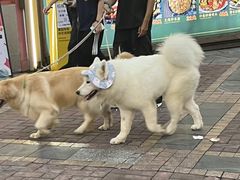 -潮正和潮汕牛肉火锅·老字号(番禺万达店)