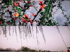 -西安汉城湖景区