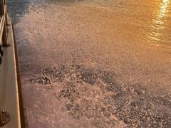 -鑫艋游艇海钓俱乐部