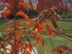 -云漫湖生态度假公园