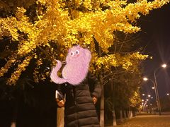 -西安外国语大学(长安校区)