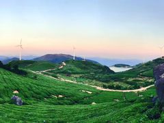 -东白山