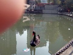 android_upload_pic-徐家汇源景区-衡山公园