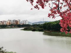 -风云岭森林公园