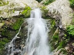 -秦岭风景区