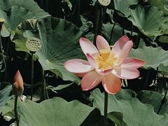 -漳泽水库水上公园