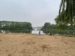 -大兴滨河森林公园