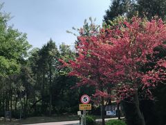 -天龙八部武侠城