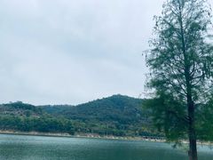 -凤岗南门山森林公园