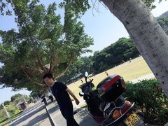 -风云岭森林公园
