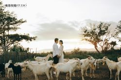 -巴黎婚纱摄影工作室