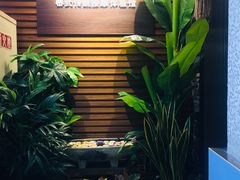 -SABAI THAI SPA泰式按摩体验馆(北城天街店)