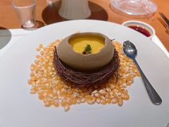 -觀芷隐轩