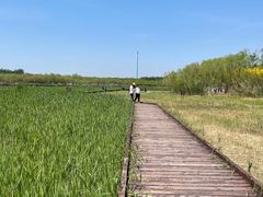 -西青郊野公园