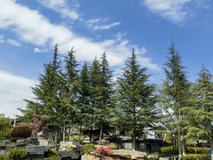 -时光吧·大堂吧·丽江和府洲际度假酒店