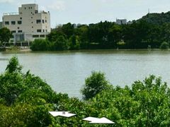 -宝安西湾红树林湿地公园