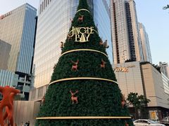 -深圳湾万象城(南山店)