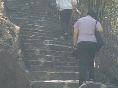 -广州白江湖森林公园