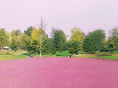 -汉长安城未央宫国家考古遗址公园