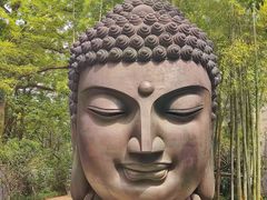 -杭州植物园