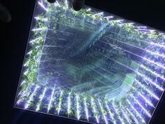 -爱来魔相4D艺术馆(济州中文馆)
