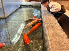 -月光园游月山庄