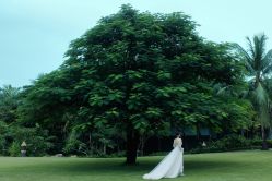 点击看大图 -Chic Bridal 熙可婚纱