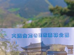 -金龙寺国家森林公园